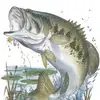lanekeeling - @bassfishinproduction - TikTok