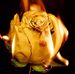 Layne King - Facebook