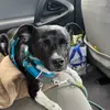 laney_knutson - @laney_knutson - TikTok