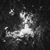 Lane Koster - Facebook