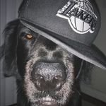 Lane Kosterman - @lanekosterman - Instagram