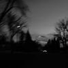 Lane.Koster - @lane.koster - TikTok