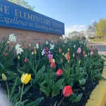 Kramer Lane PTA - @kramerlanepta - Instagram