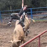 Lane Lambert - @lanelambert9 - Instagram