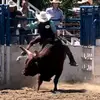 Lane Lambert - @lanelambert5 - TikTok