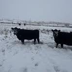 Larkin Lane - Facebook