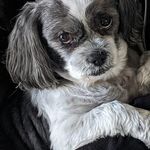Lane Lenz - @lanelenz - Instagram