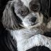 Lane Lenz - Facebook