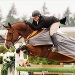 Country Lane - Channay Lloyd - @countrylaneshowstables - Instagram