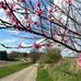 Long Lane Farm - Facebook