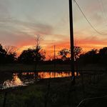 Lane Manning - @lane_04 - Instagram