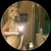 Alan emanuel - @alan.emanuel76 - TikTok