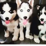 Lane Marrs - @lanemarrs - Instagram