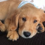 Tucker Lane McCarty - @littletuckerlane - Instagram