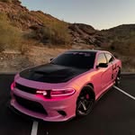 Lane Stephenson - @lanestephenson130 - Instagram