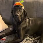 Lane Stone - @fearlessgoat22 - Instagram