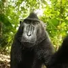Lane Stone - @lane.stone6 - TikTok