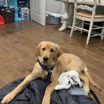 Lane Sullivan - @lanesullivan2 - Instagram