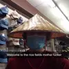 Lane.Summers - @lane.summers - TikTok