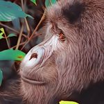 Keisuke Uda - @lanetower789 - Instagram