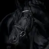 Esmerilane Meury - @esmerilanemeury - TikTok