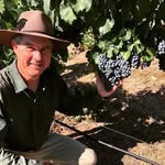 Rogues Lane Vineyard - @rogueslane - Instagram
