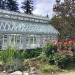 Starling Lane Vineyard - @starlinglanevineyard - Instagram