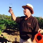Toby Lane Vineyards - @tobylanevineyards - Instagram