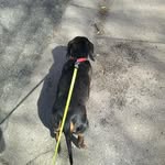 Evan Lane Wagoner - @yadie_is_awsome - Instagram