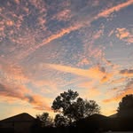 Lane Wallace - @lane.w323 - Instagram