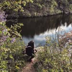 Wallis - @lane.wallismg8s - Instagram
