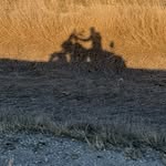 Lanewalters - @lanewalters46 - Instagram