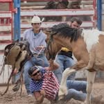 Lanewalters - @lanewalters42 - Instagram