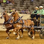 Lane Westerfeld - Facebook