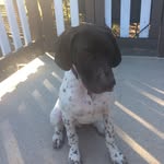 Lane - @lane_wiggins9 - Instagram