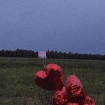 LANE - @lane_yatessjzf4 - Instagram