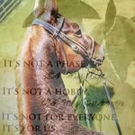 Katelynn J Landers Buckner - @katelynnlanders516 - Instagram