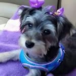 LaNell Boyer - @lanellboyer - Instagram