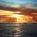 Lanell Brown - Facebook