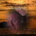 Lanell S Jackson - Facebook