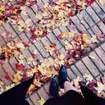 Lanell Terrell - @lanellterrell62 - Instagram
