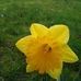 Lanette Joner - Facebook