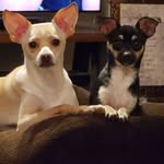 Lanette Stephens - @lanette.stephens.3 - Instagram