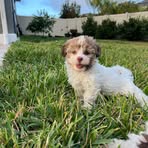 Laney Allen - Facebook