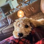 Laney Edwards - @laney_edwards_ - Instagram