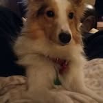 Laney Burns Freeman - @laneyburnsfreeman - Instagram