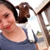 Laney Freeman - @laneyfreeman8 - TikTok