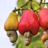Lang Keo - @lang.keo6 - TikTok