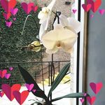Ngo Lang - @langngo - Instagram