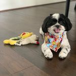 Langston Lamont Jackson - @langstonlamont - Instagram